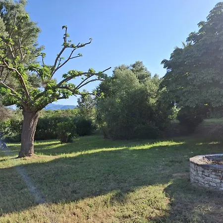 St Florent Avec Piscine Flo23 Lägenhet