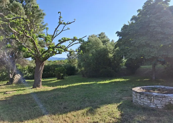 St Florent Cosy Climatise Avec Piscine Lägenhet